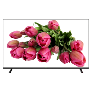 Tiandy TC-D355 Monitor 55″ 4K LED